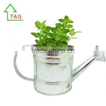 Galvanised Metal Watering Can Herb Flower Pot Container