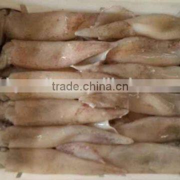 frozen whole round squid