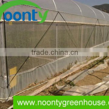 Greenhouse Roll Up,NOONTY