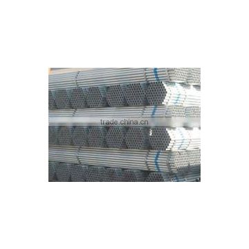 Cold Rolled Pre Galvanized Round Pipe / tube for fencing