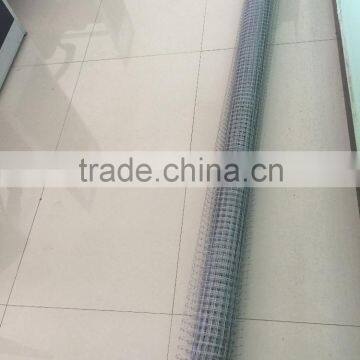 High Quality Chicken Net(high Quality and Best Price,good Aftersales and Delivery Time)