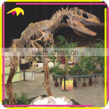 KANO2263 Customized Attractive Lifelike Artificial Dragon Fossil