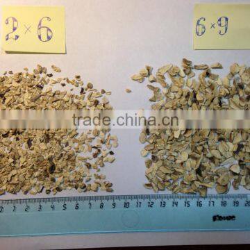 dried champignon granules