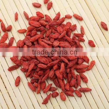 NingXia hot sale goji berry/medlar