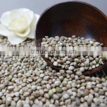 Hemp Seeds with high quality 2016 crop