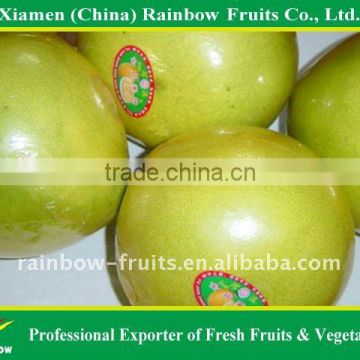 Chinese Pomelo