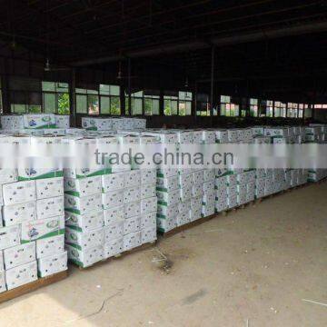 pure white chinese fresh garlic with 10 kg carton