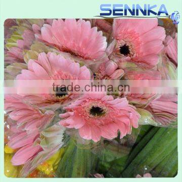 Honey Gerbera Natural Fresh Gerbera Bouquets