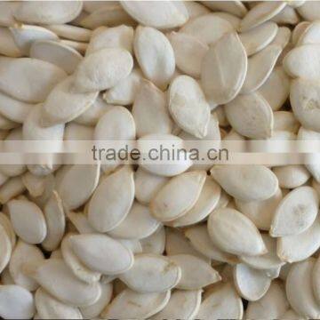 China Quality Supplier of Pumkin Seeds Shine Skin for Export Grade photo-2