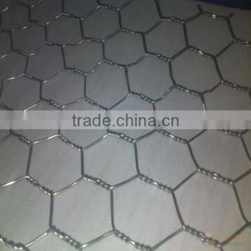 Hebei good quality galvanized hexagonal wire mesh /chicken wire mesh