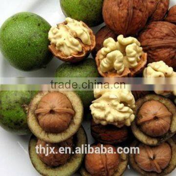 Walnut Packing Machine