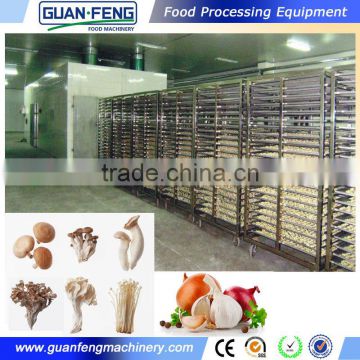 Vegetables and fruits drying line equipment for dehydrated mushroom