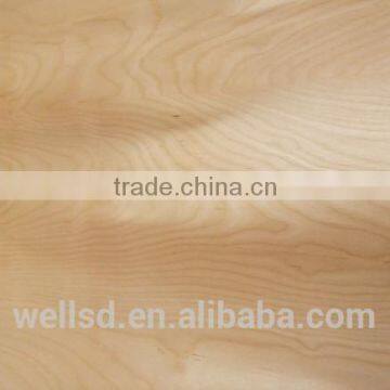 Linyi Supply Best Quality Rigging Hardware Item Chain Hoist photo-3