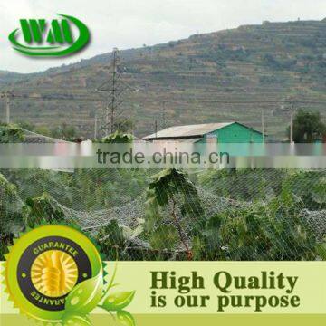 2014 Hot Sale Hdpe Anti Bird Net photo-3