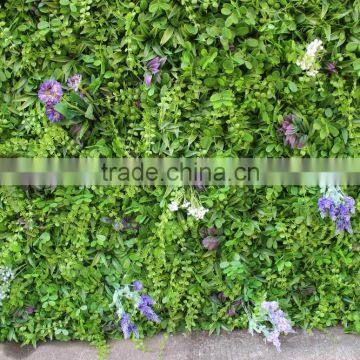 CHY040901 Decorative Garden Wall/ Hanging Wall Withplants/vertical Plant Wall photo-6