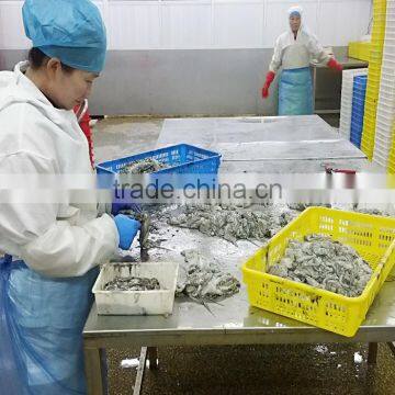 Frozen Sliced Octopus photo-3