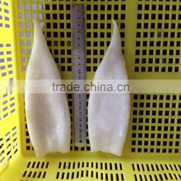 Frozen Squid Tube U5 U7 U10 photo-3