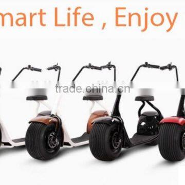 2017 Li-ion Battery Citycoco 1000w electric scooter