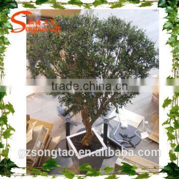 Songtao Supplier Artificial Ficus Tree Home Decoration Artificial Ficus Tree photo-4