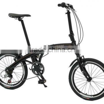 20 Folding Bike