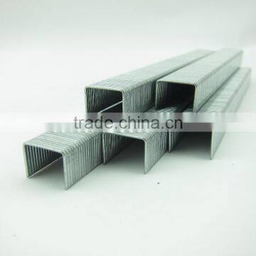21GA 8004 Staple photo-2