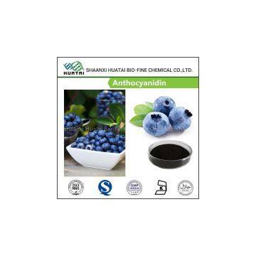 Blueberry P.E. Anthocyanidins Powder Cas No.13306-05-3