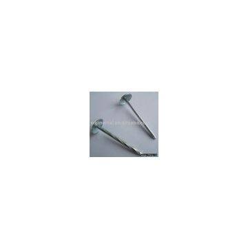 umbrella head roofing nails