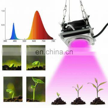 COB 60w Led Grow Lights Full Spectrum 380nm-780nm LED Lamp for Plants Aquarium Flowers Hydroponics photo-4