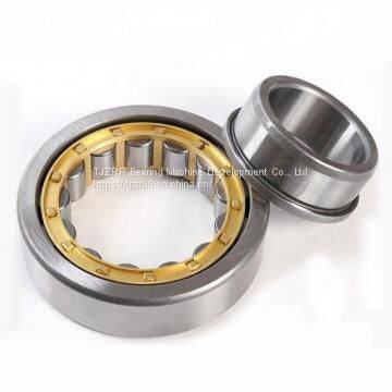 AST 6004-2RS deep groove ball bearings