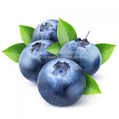 Blueberry Extract, Blueberry Leaf Extract, Blueberry Powder, Blueberry Anthocyanidins, Vaccinium Extract