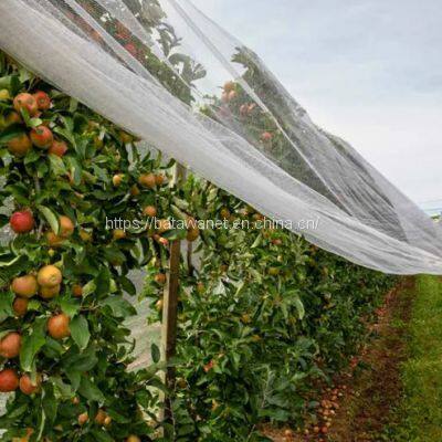 High quality Monofilament Anti Bee Netting hail net HDPE knitted Vineyard Plastic Apple Tree Anti Hail Net for Agriculture