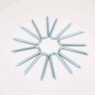 Q195 Carbon Steel U Type Nails for Fence Staples With Zinc Plating photo-3