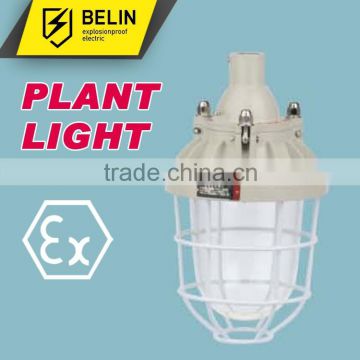 BAD51-200 Flameproof Explosion proof Light