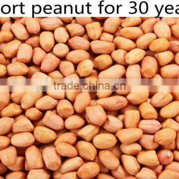 Peanut Kernels 40/50