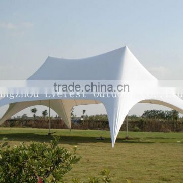 2014 new star-canopy with fashionable design