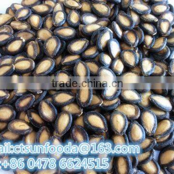 Big size watermelon seed with good quality