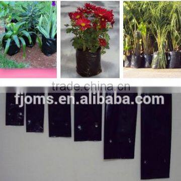 Black LDPE Growing bags for nursery