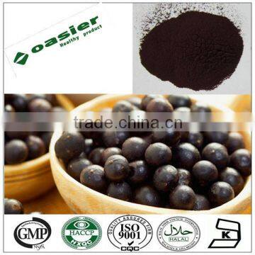 brazilian acai berry extract powder 20:1