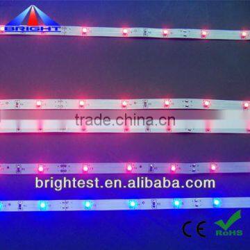 high quality led ribbon light red blue green color