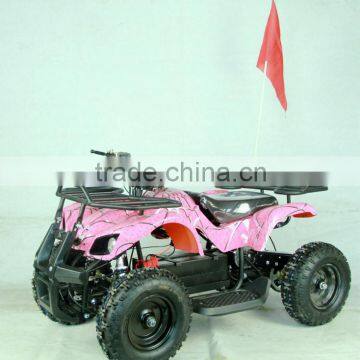 mini 500W quad mini ATV XW-EA16