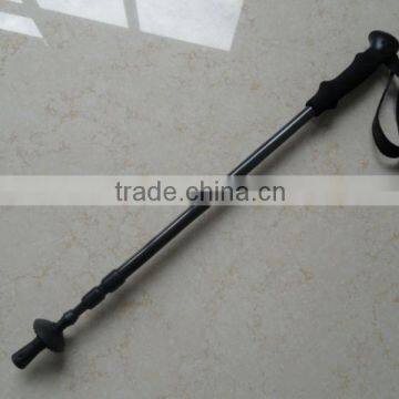 100% Carbon trekking pole