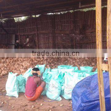 Tamil Nadu Organic Young Fresh Cocount