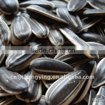 American Sunflower Seeds 5009