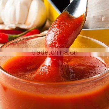 Export Middle East Africa easy open 70g 210g 2.2kg 800g OEM ODM ketchup Tomato Sauce Canned Tomato paste