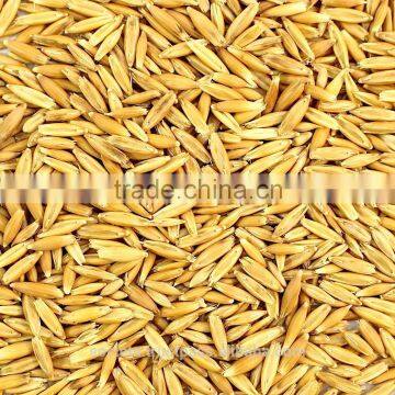 Australian Milling Oats