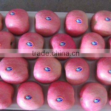 Chinese red fuji apple in 20kg cartons