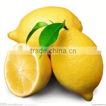 Dubai Market Fresh Lemon