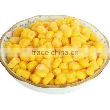 yellow corn kernel in bulk