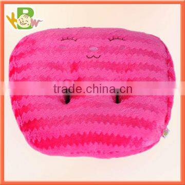 Factory Wholesale Custom Cotton Home Decoration Cushion