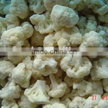 Frozen IQF vegetable manufacturer export cauliflower